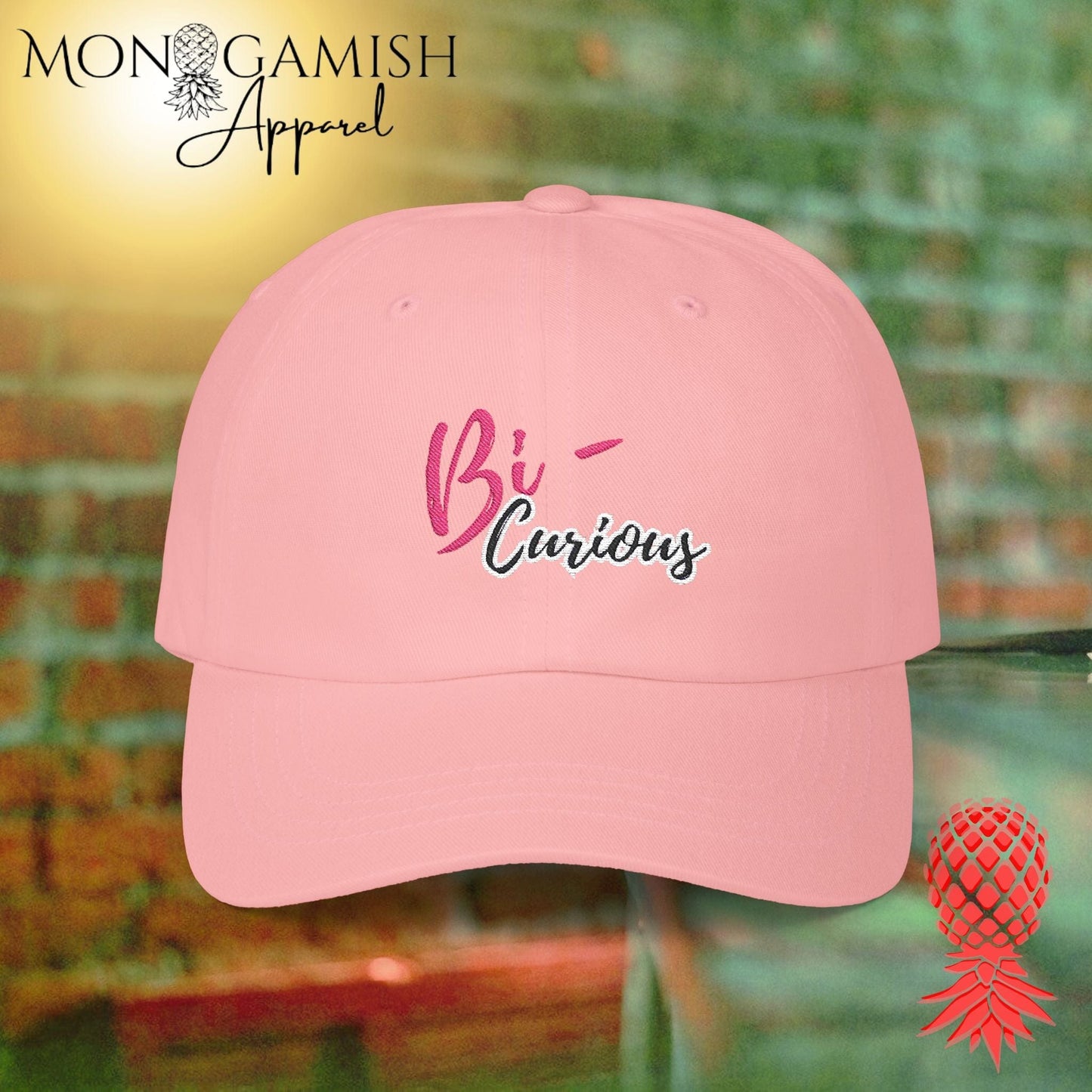 Bi-Curious Embroidered Hat